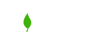 Leaf Logo Photoshop Tutorials