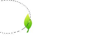 Leaf Logo Photoshop Tutorials