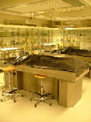 Autopsy Room