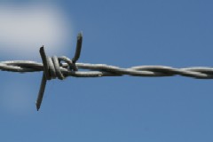 Barbed Wire