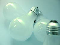 Bulb