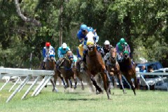 horse racing